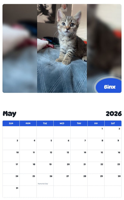 2026 - 2027 Binx - Pawidols Pet Calendar