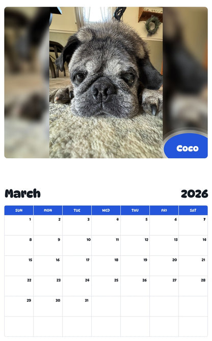 November 2025 - October 2026 Coco - Pawidols Pet Calendar