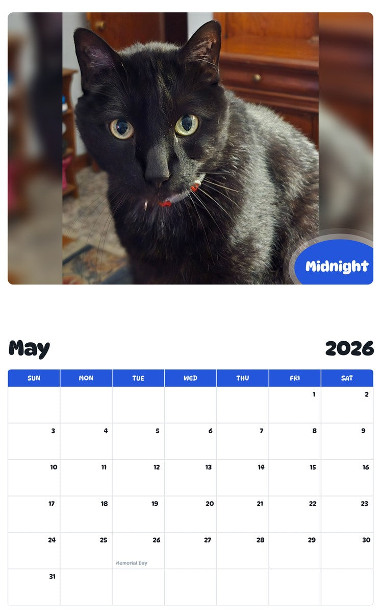 2026 - 2027 Midnight - Pawidols Pet Calendar