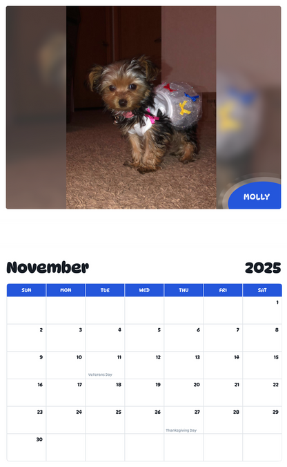 July 2025 - June 2026 Molly - Pawidols Pet Calendar