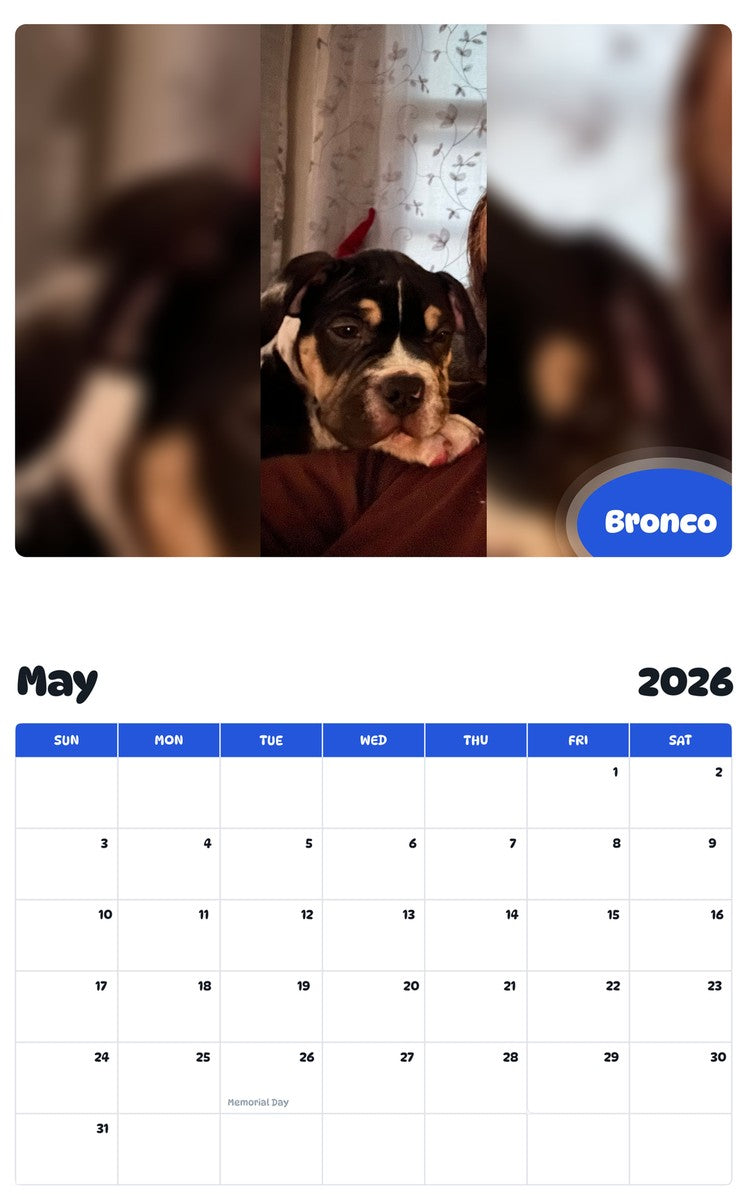 2026 - 2027 Bronco - Pawidols Pet Calendar