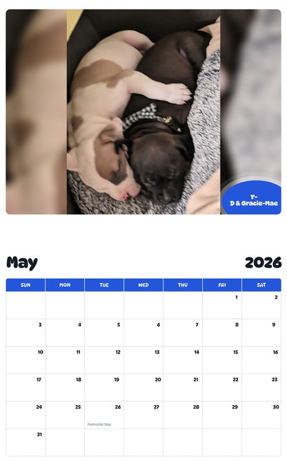 2026 - 2027 Y-D & Gracie-Mae - Pawidols Pet Calendar
