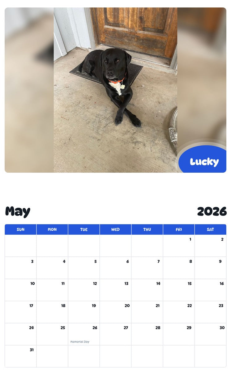 2026 - 2027 Lucky - Pawidols Pet Calendar