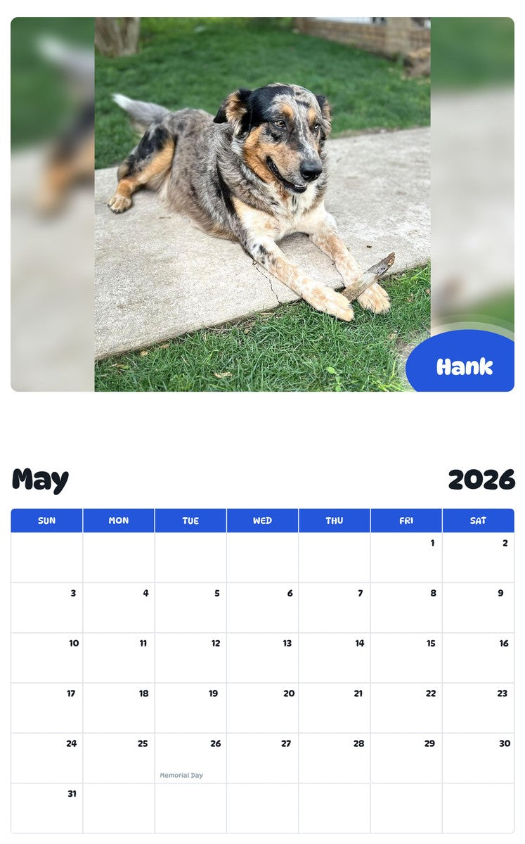 2026 - 2027 Hank - Pawidols Pet Calendar