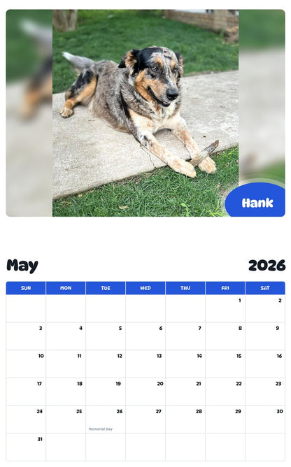 2026 - 2027 Hank - Pawidols Pet Calendar