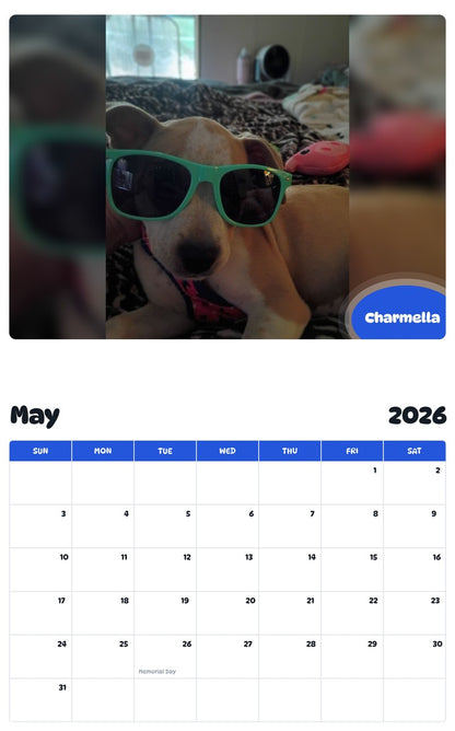 2026 - 2027 Charmella - Pawidols Pet Calendar