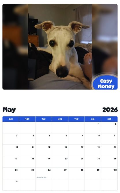 2026 - 2027 Easy Money - Pawidols Pet Calendar