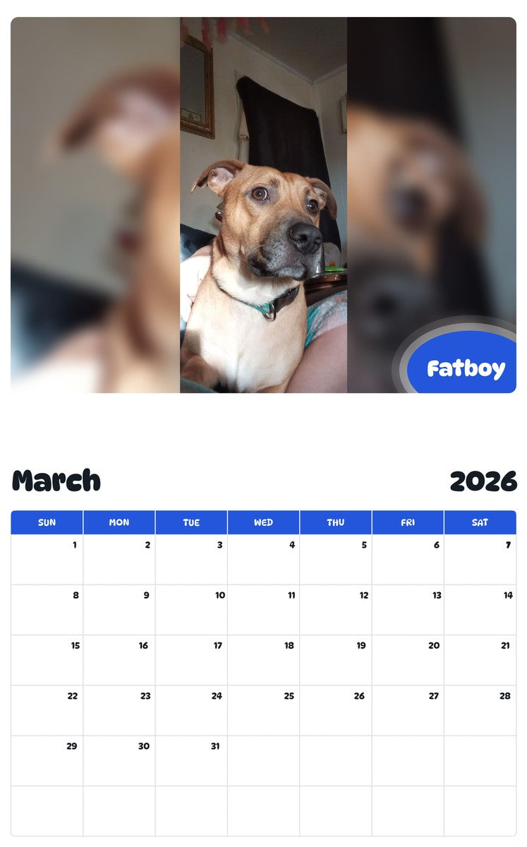 November 2025 - October 2026 Fatboy - Pawidols Pet Calendar