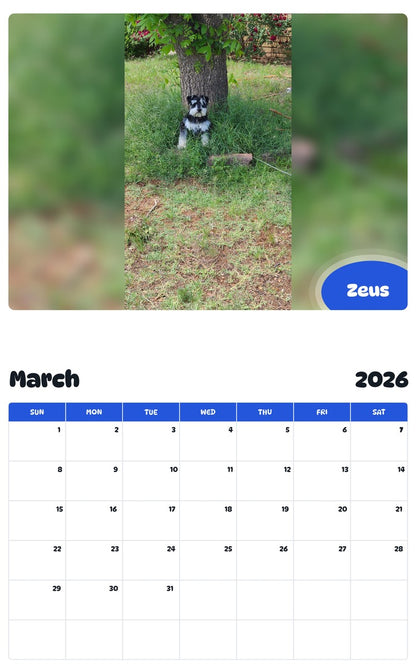 November 2025 - October 2026 Zeus - Pawidols Pet Calendar