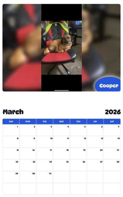 November 2025 - October 2026 Cooper - Pawidols Pet Calendar