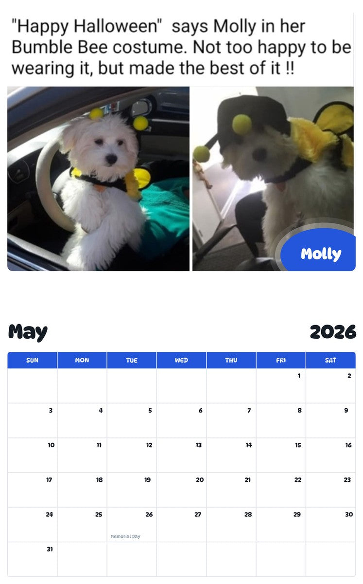 2026 - 2027 Molly - Pawidols Pet Calendar