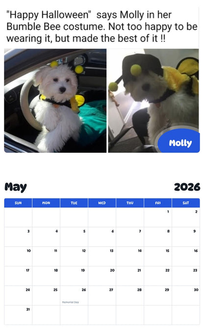 2026 - 2027 Molly - Pawidols Pet Calendar
