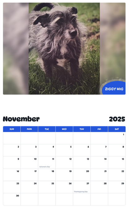 July 2025 - June 2026 Ziggy wig - Pawidols Pet Calendar