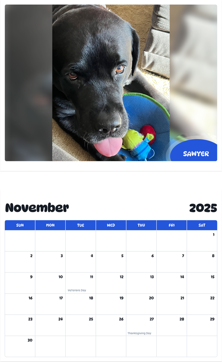 July 2025 - June 2026 Sawyer - Pawidols Pet Calendar
