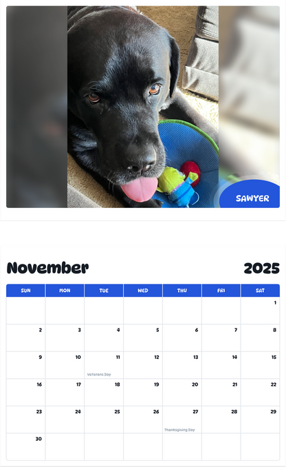 July 2025 - June 2026 Sawyer - Pawidols Pet Calendar