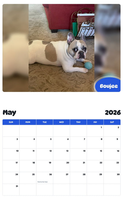 2026 - 2027 Boujee - Pawidols Pet Calendar