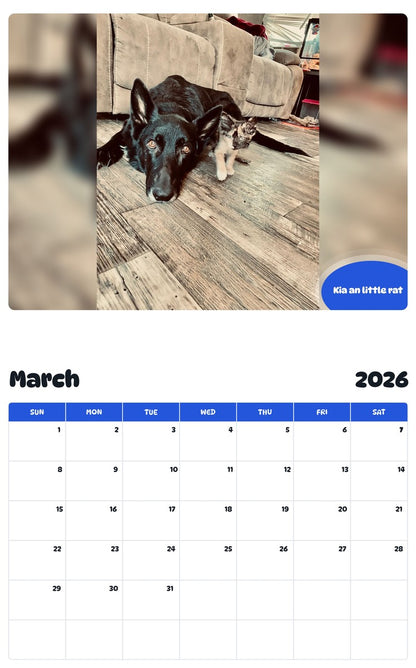 November 2025 - October 2026 Kia an little rat - Pawidols Pet Calendar