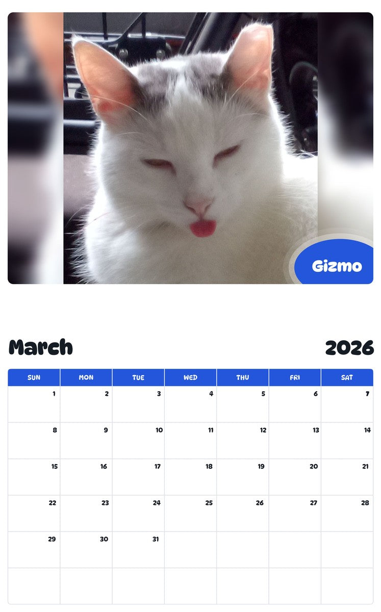 November 2025 - October 2026 Gizmo - Pawidols Pet Calendar