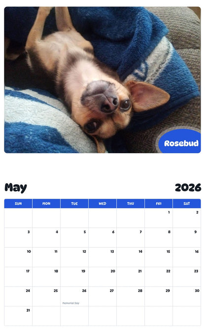 2026 - 2027 Rosebud - Pawidols Pet Calendar