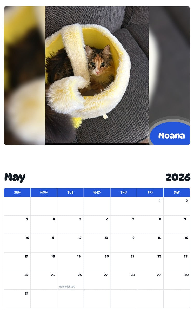 2026 - 2027 Moana - Pawidols Pet Calendar