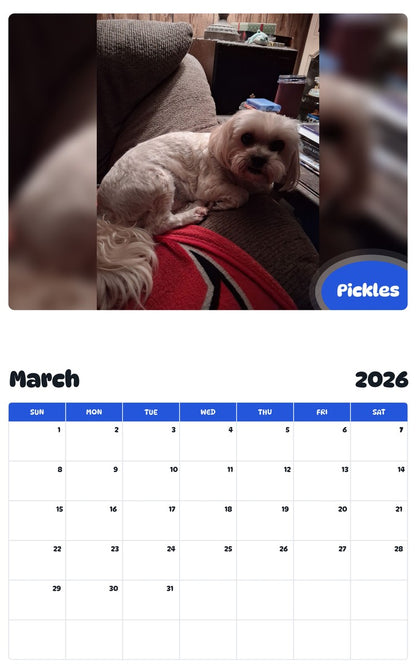 November 2025 - October 2026 Pickles - Pawidols Pet Calendar