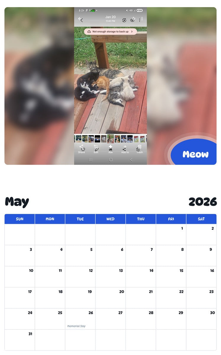 2026 - 2027 Meow - Pawidols Pet Calendar