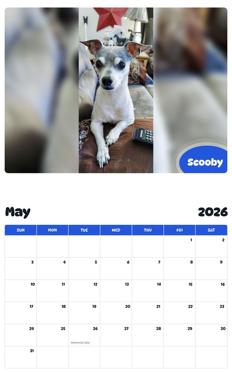 2026 - 2027 Scooby - Pawidols Pet Calendar