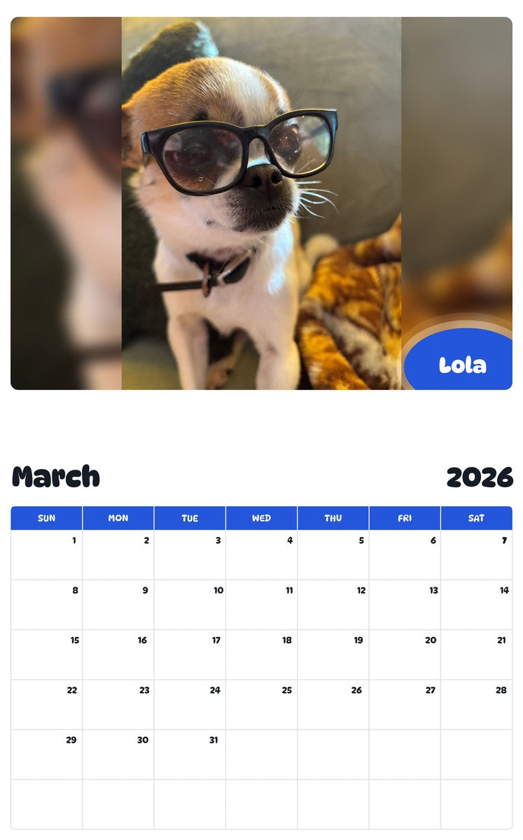November 2025 - October 2026 Lola - Pawidols Pet Calendar