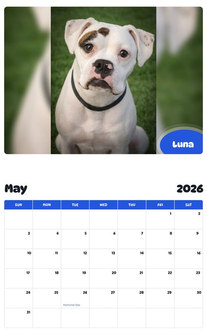 2026 - 2027 Luna - Pawidols Pet Calendar