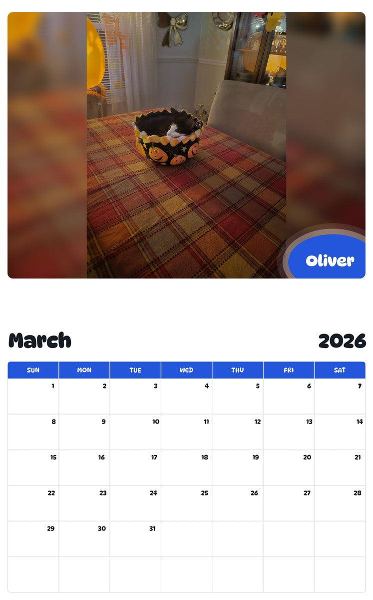 November 2025 - October 2026 Oliver - Pawidols Pet Calendar