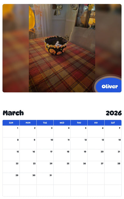 November 2025 - October 2026 Oliver - Pawidols Pet Calendar