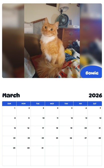 November 2025 - October 2026 Bowie - Pawidols Pet Calendar
