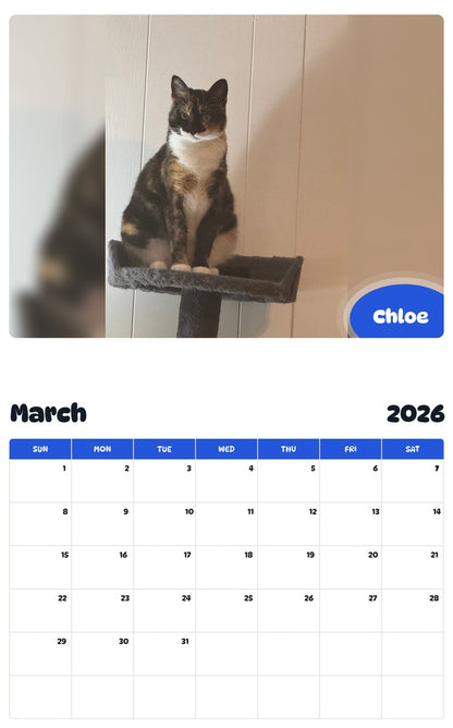 November 2025 - October 2026 Chloe - Pawidols Pet Calendar