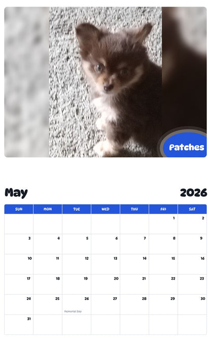 2026 - 2027 Patches - Pawidols Pet Calendar