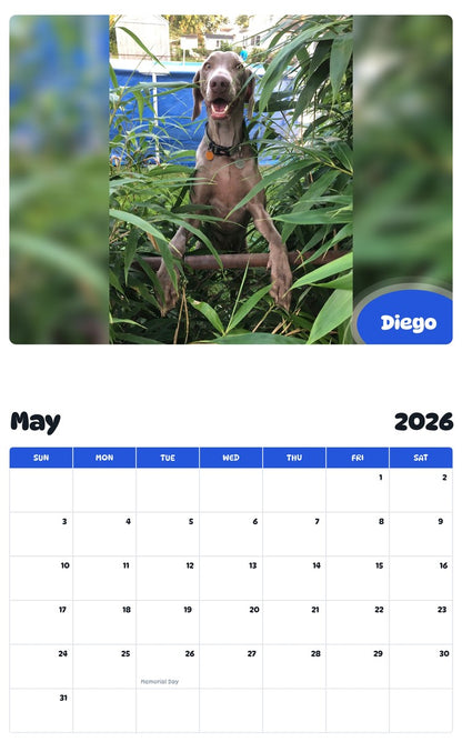 2026 - 2027 Diego - Pawidols Pet Calendar