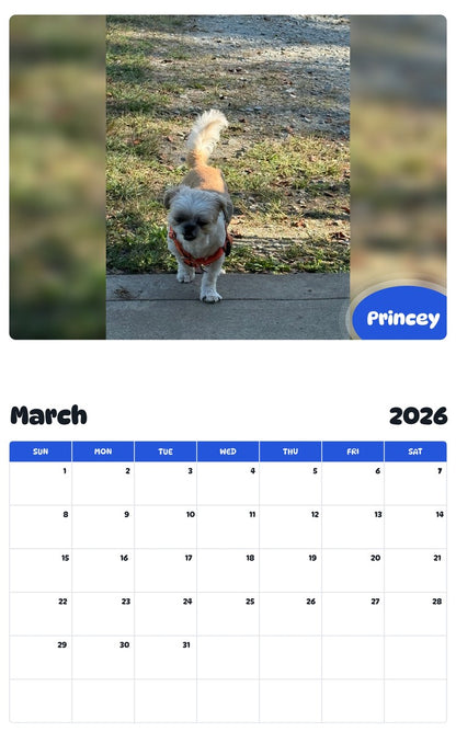 November 2025 - October 2026 Princey - Pawidols Pet Calendar