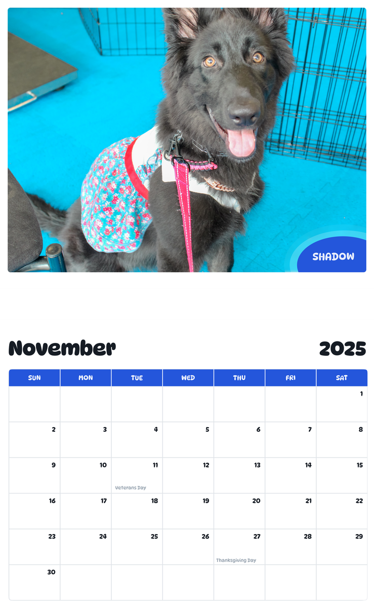 July 2025 - June 2026 Shadow - Pawidols Pet Calendar