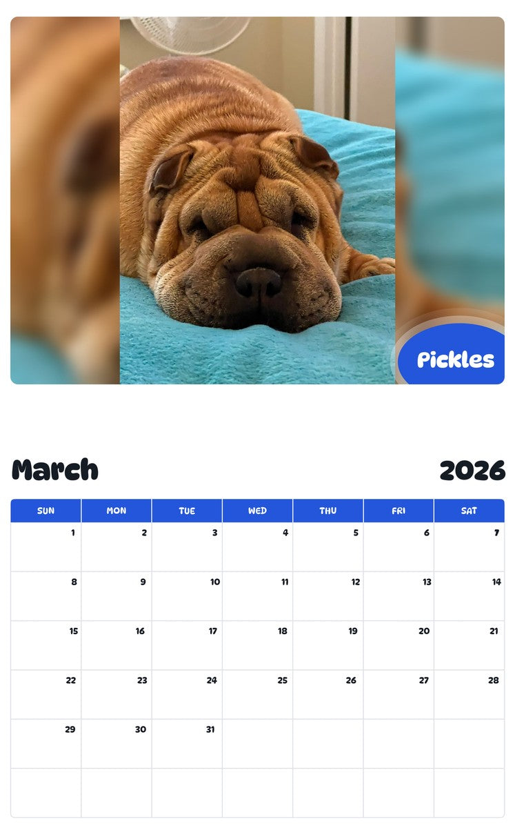 November 2025 - October 2026 Pickles - Pawidols Pet Calendar