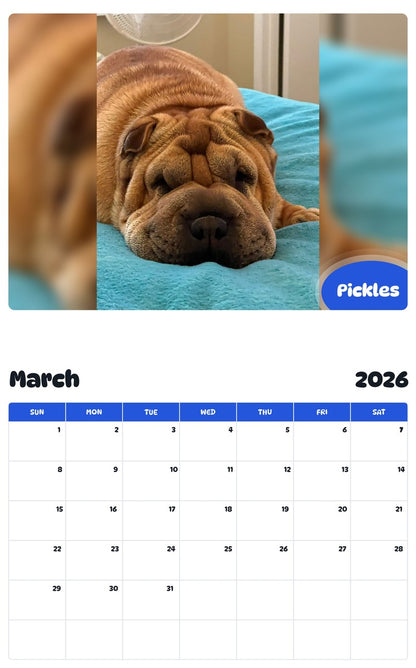 November 2025 - October 2026 Pickles - Pawidols Pet Calendar