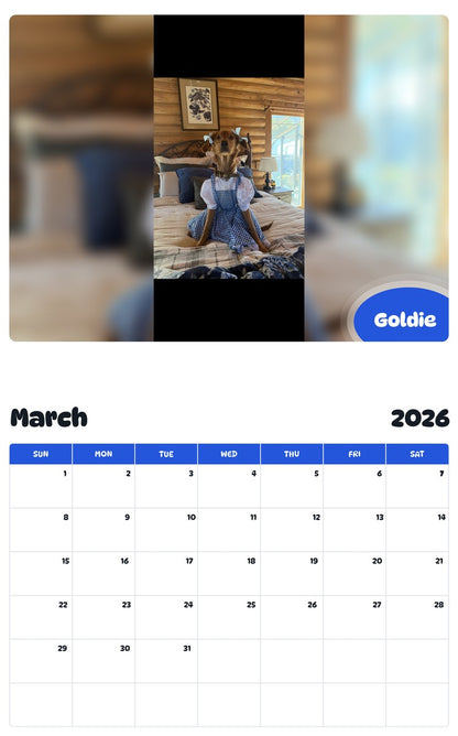 November 2025 - October 2026 Goldie - Pawidols Pet Calendar
