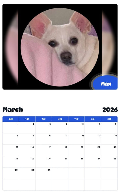 November 2025 - October 2026 Max - Pawidols Pet Calendar