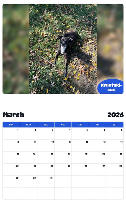 November 2025 - October 2026 Kruntski-sue - Pawidols Pet Calendar