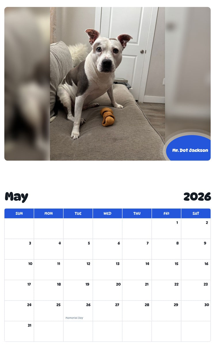 2026 - 2027 Mr. Dot Jackson - Pawidols Pet Calendar
