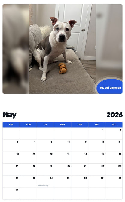 2026 - 2027 Mr. Dot Jackson - Pawidols Pet Calendar