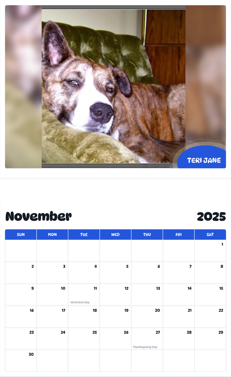 July 2025 - June 2026 Teri Jane - Pawidols Pet Calendar