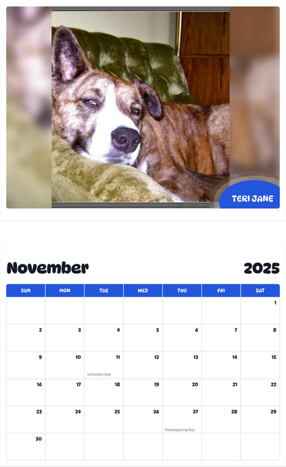 July 2025 - June 2026 Teri Jane - Pawidols Pet Calendar
