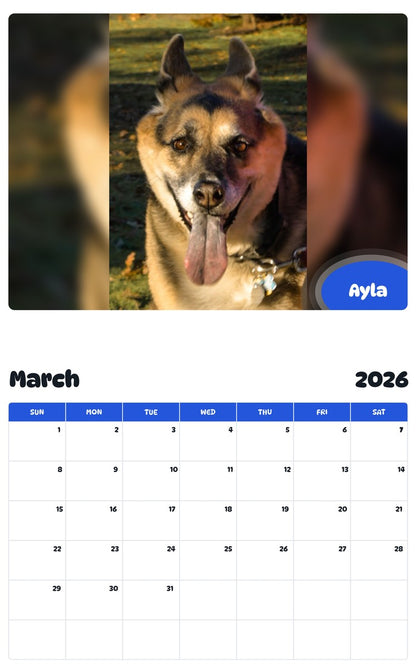November 2025 - October 2026 Ayla - Pawidols Pet Calendar