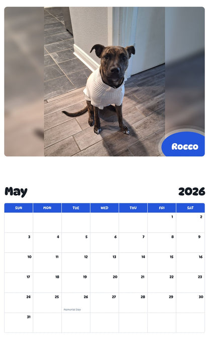 2026 - 2027 Rocco - Pawidols Pet Calendar