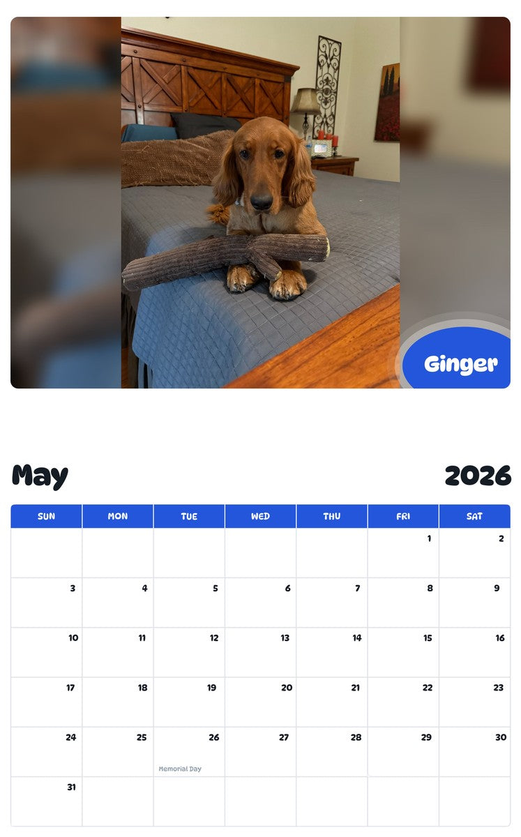 2026 - 2027 Ginger - Pawidols Pet Calendar
