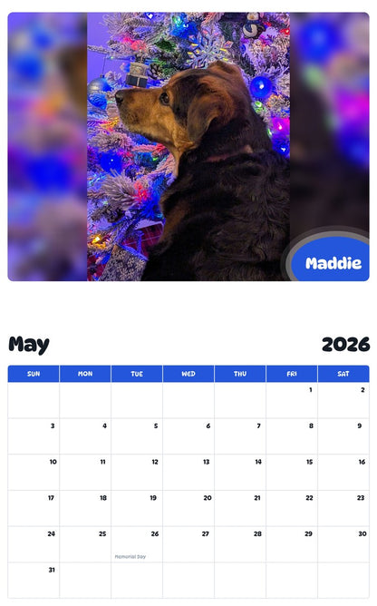 2026 - 2027 Maddie - Pawidols Pet Calendar